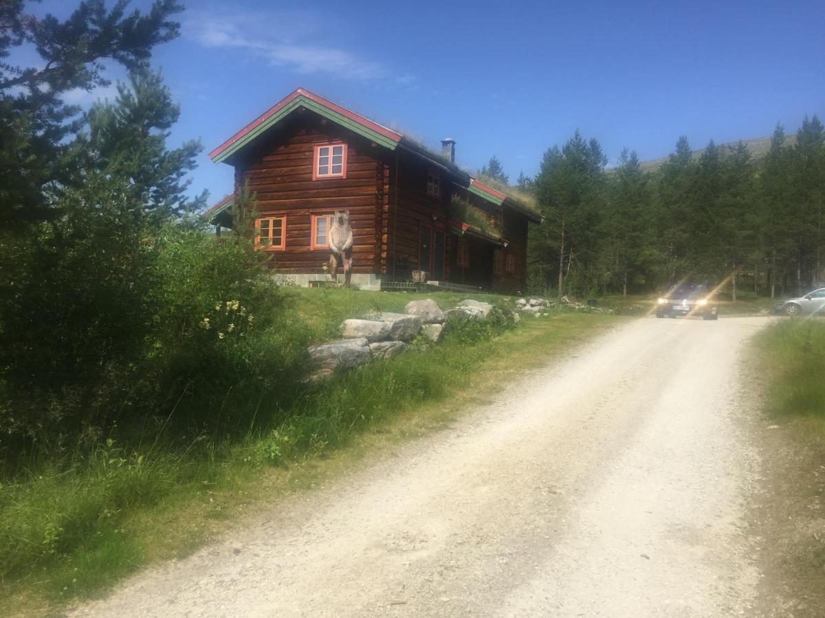 Rondane Sollia Friluftsliv Ovre Nordli别墅 外观 照片