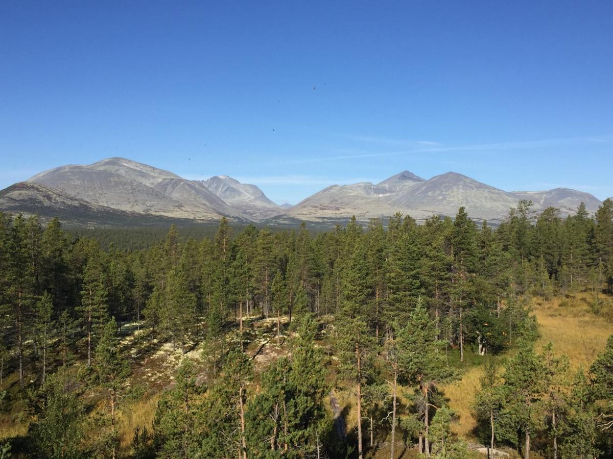 Rondane Sollia Friluftsliv Ovre Nordli别墅 外观 照片