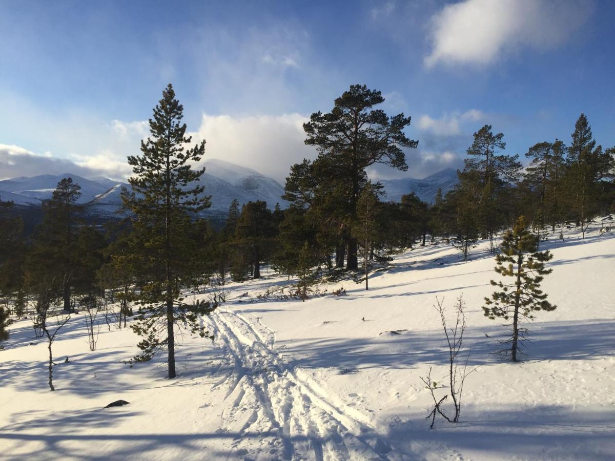 Rondane Sollia Friluftsliv Ovre Nordli别墅 外观 照片