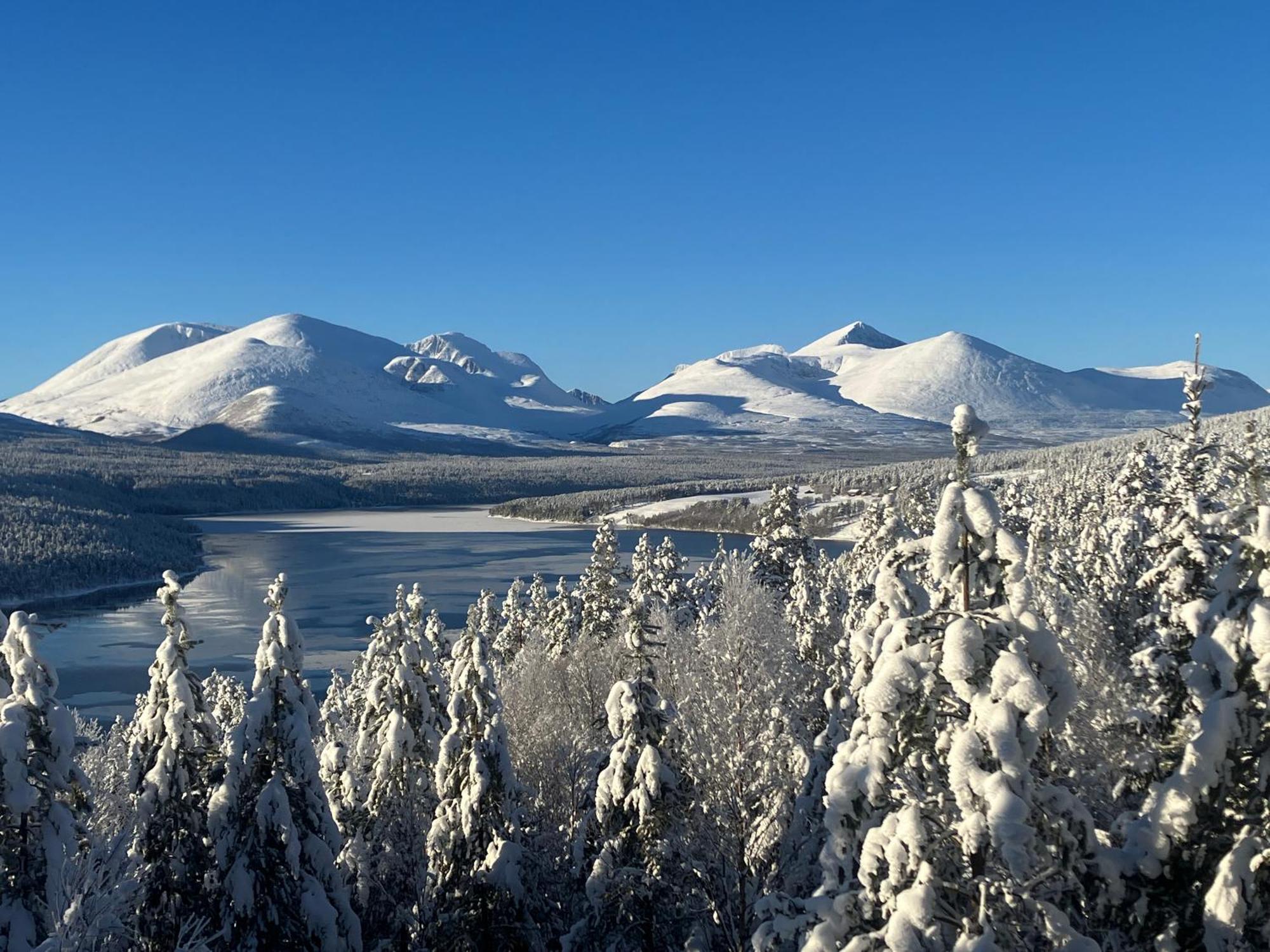 Rondane Sollia Friluftsliv Ovre Nordli别墅 外观 照片